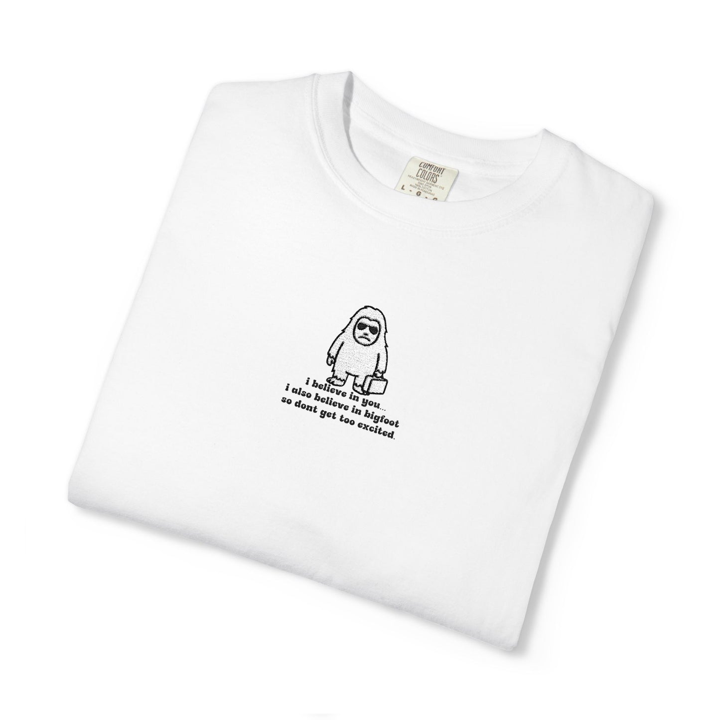 Big Beliefs, Low Expectations - Embroidered
