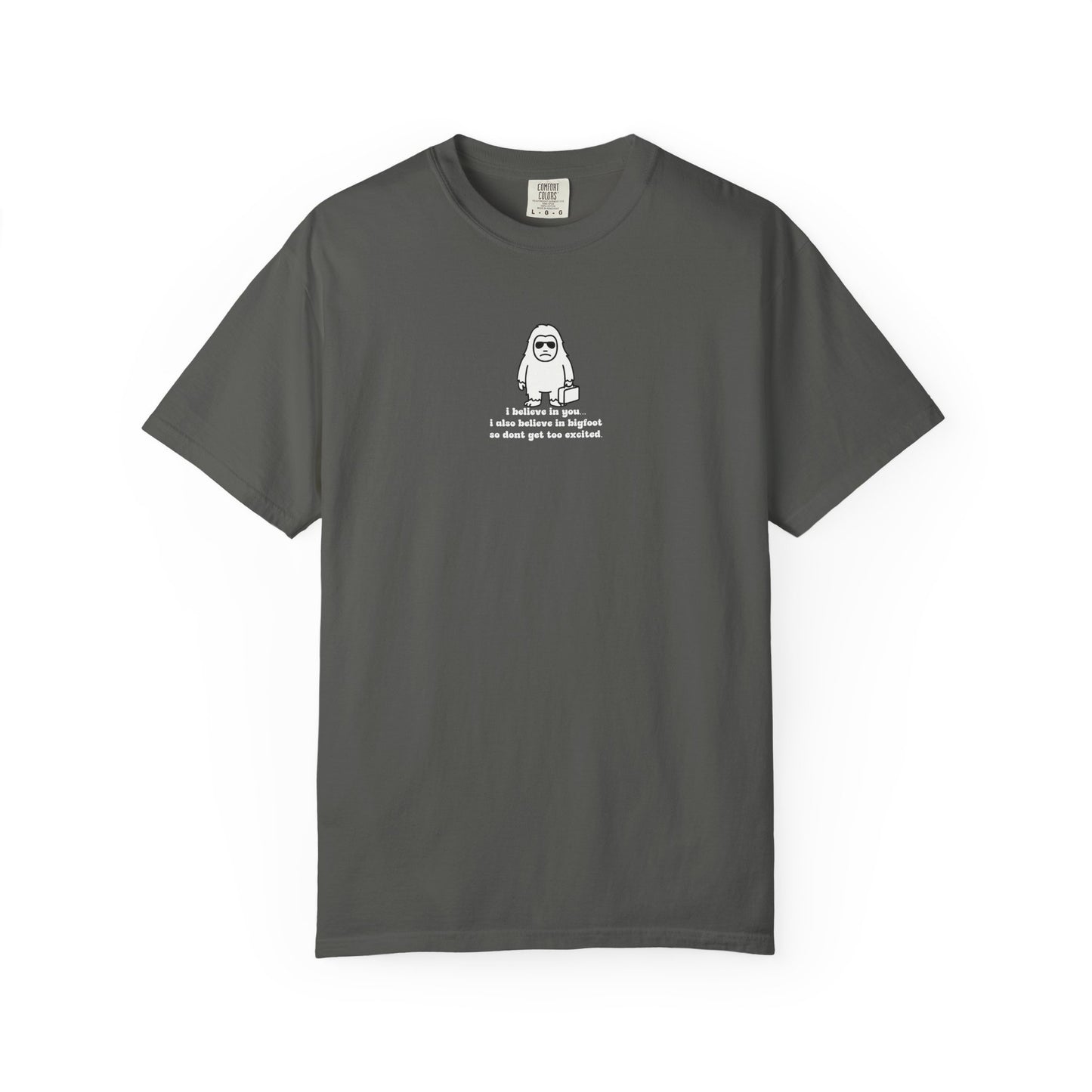 Big Beliefs, Low Expectations - Printed