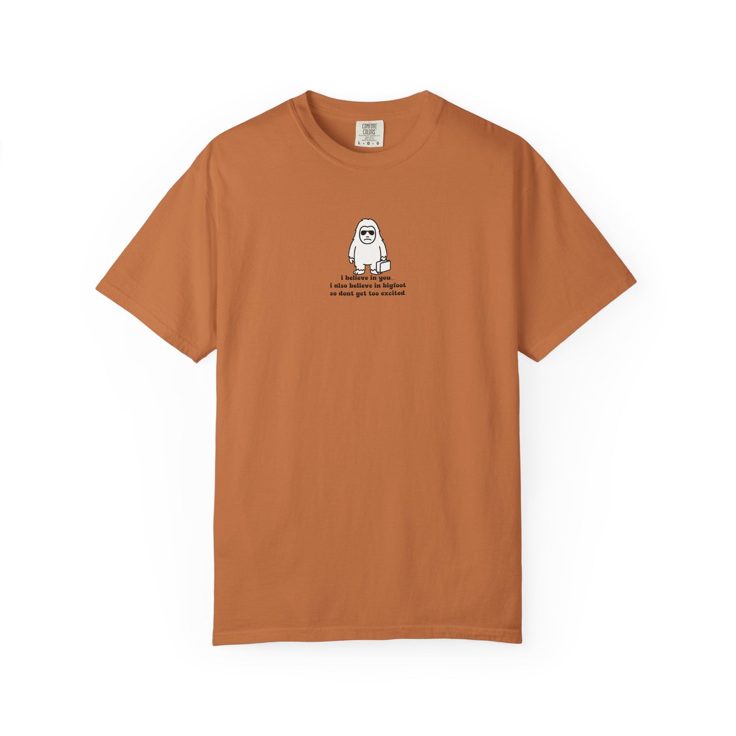 Big Beliefs, Low Expectations - Printed
