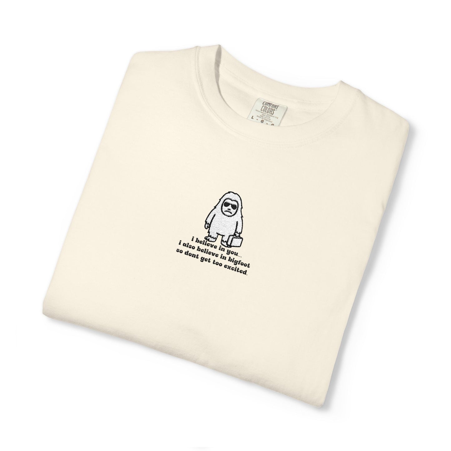 Big Beliefs, Low Expectations - Embroidered