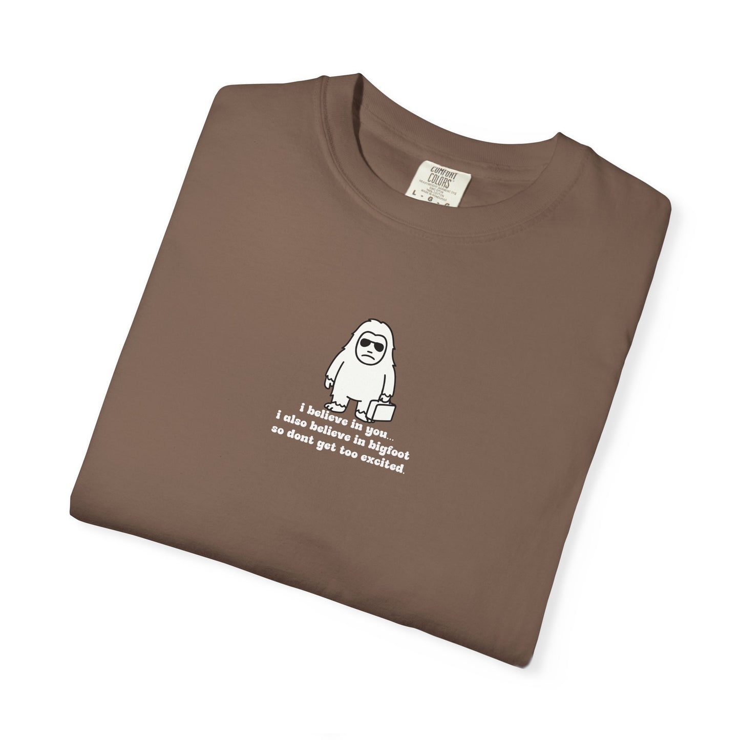 Big Beliefs, Low Expectations - Printed