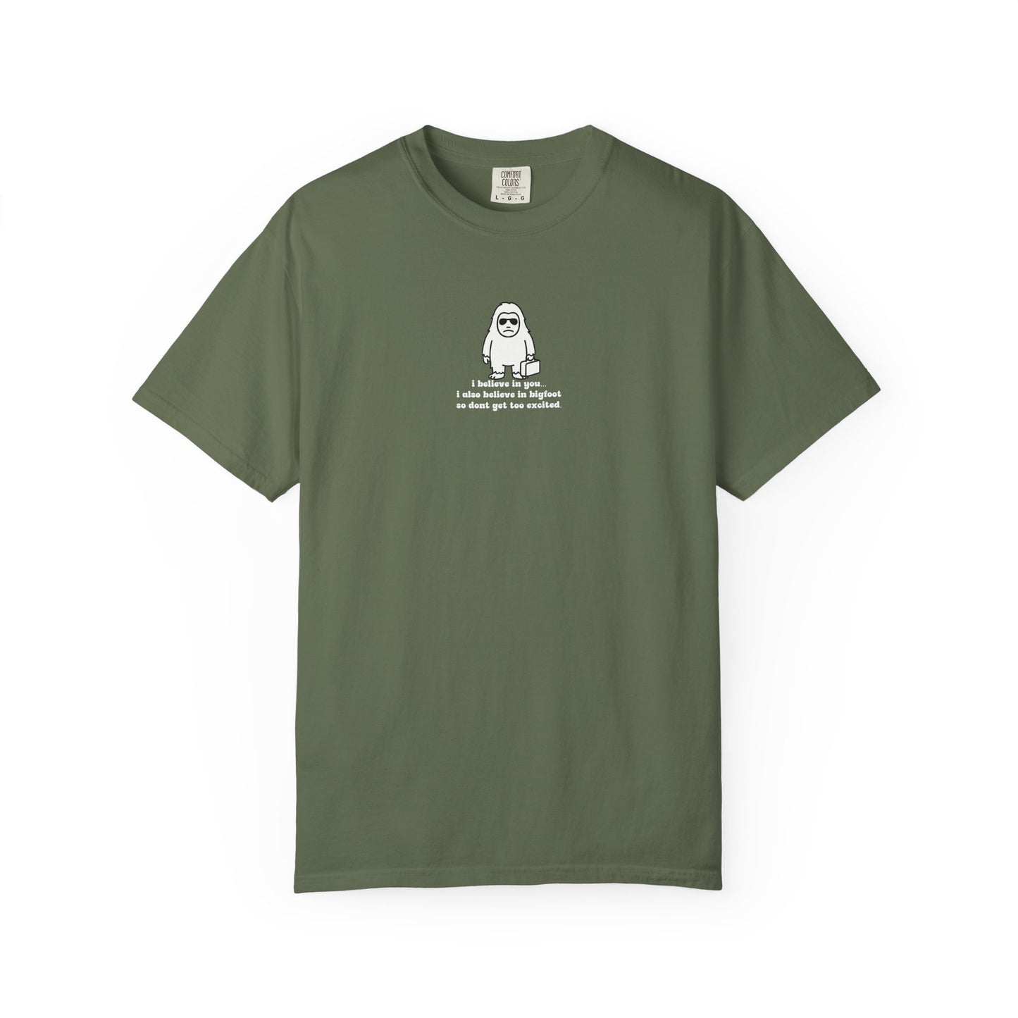 Big Beliefs, Low Expectations - Printed