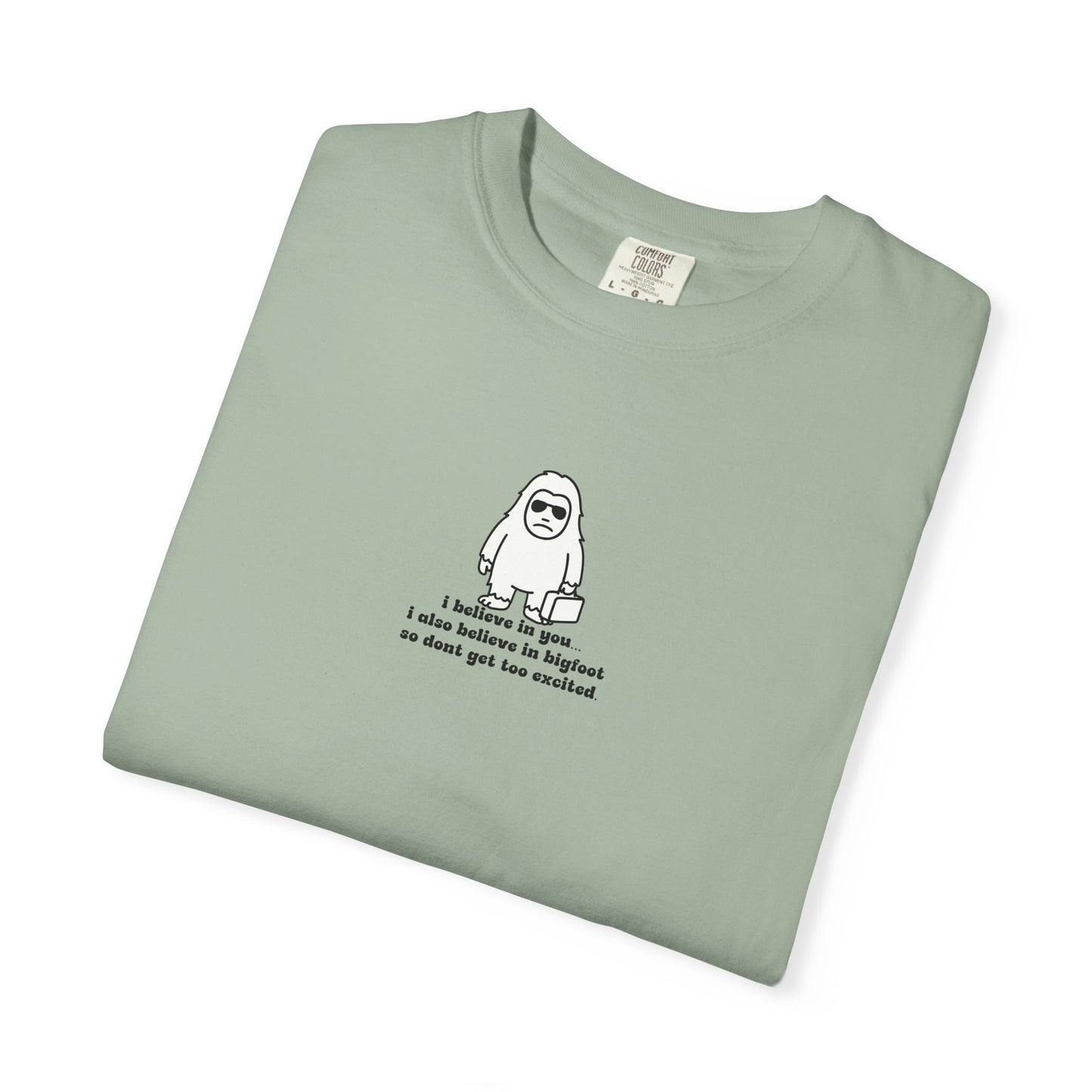 Big Beliefs, Low Expectations - Printed