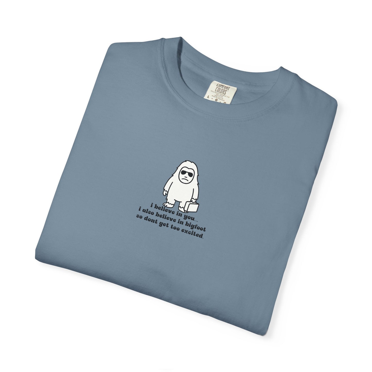 Big Beliefs, Low Expectations - Printed
