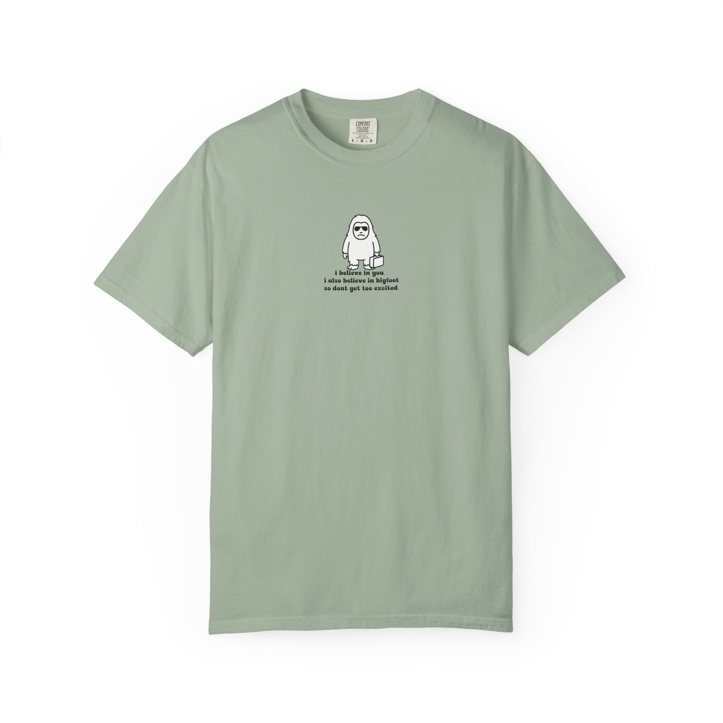 Big Beliefs, Low Expectations - Printed