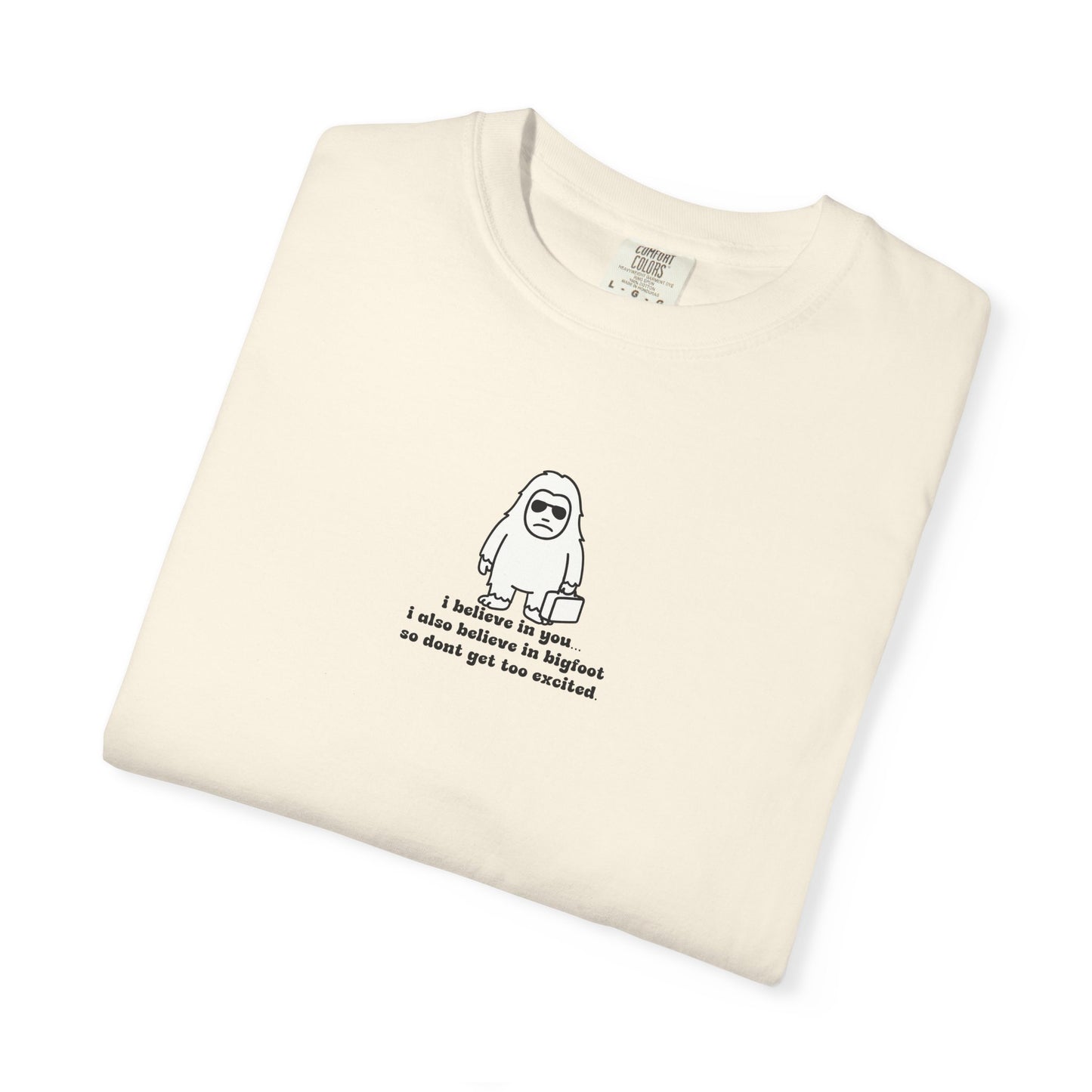 Big Beliefs, Low Expectations - Printed