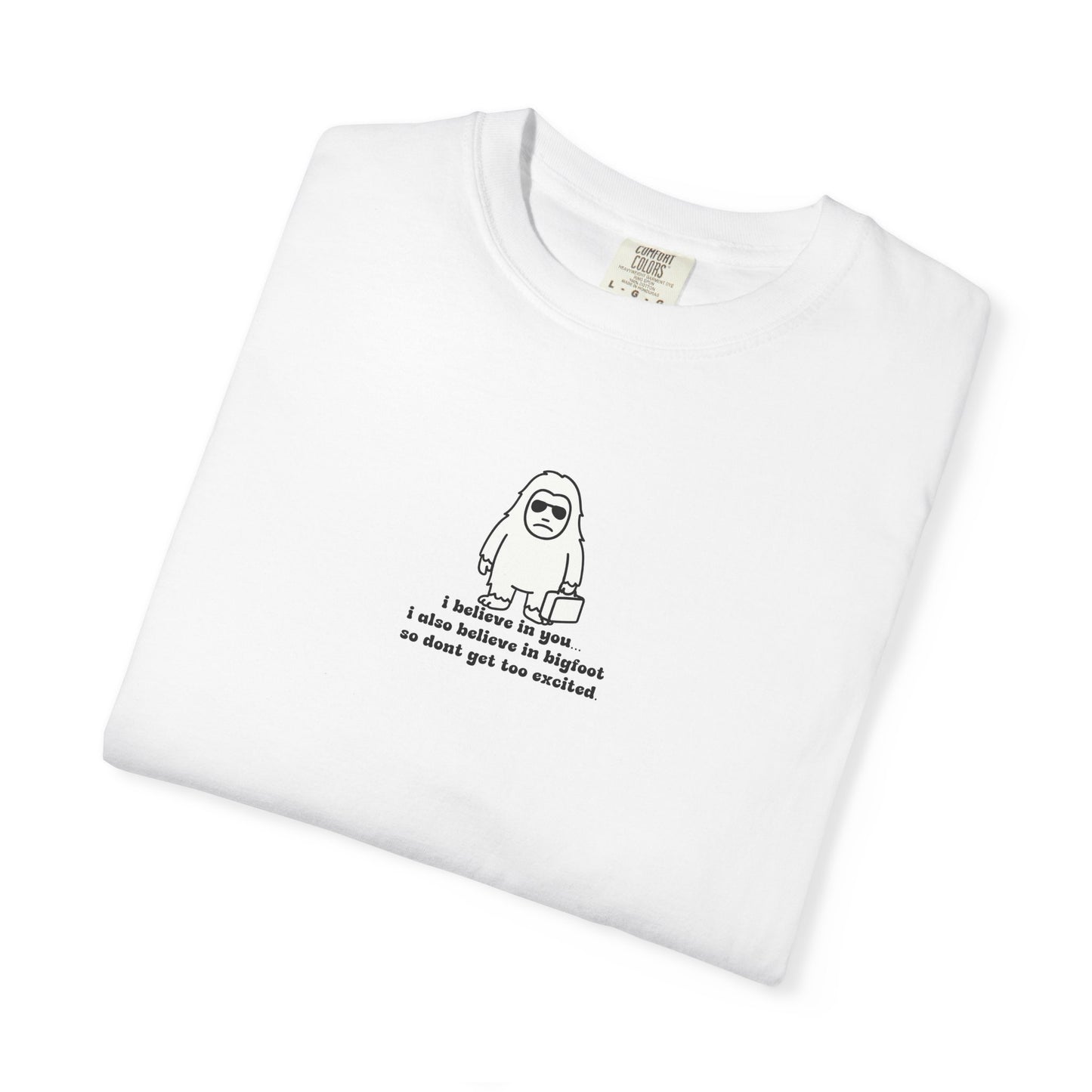 Big Beliefs, Low Expectations - Printed