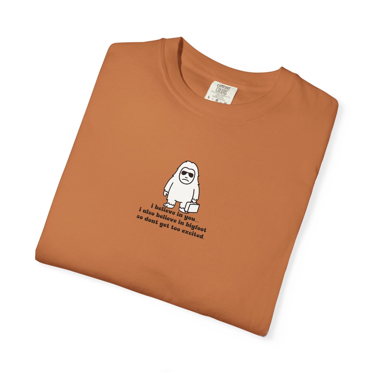 Big Beliefs, Low Expectations - Printed
