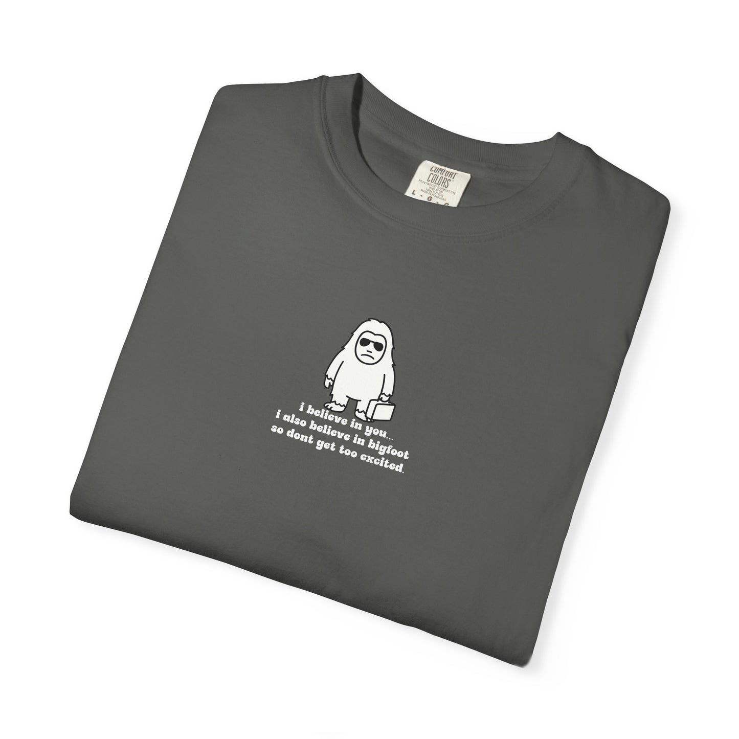 Big Beliefs, Low Expectations - Printed