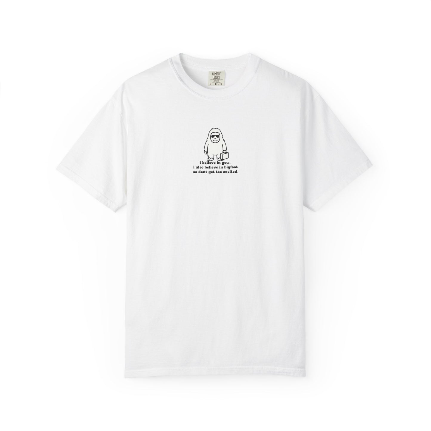 Big Beliefs, Low Expectations - Printed