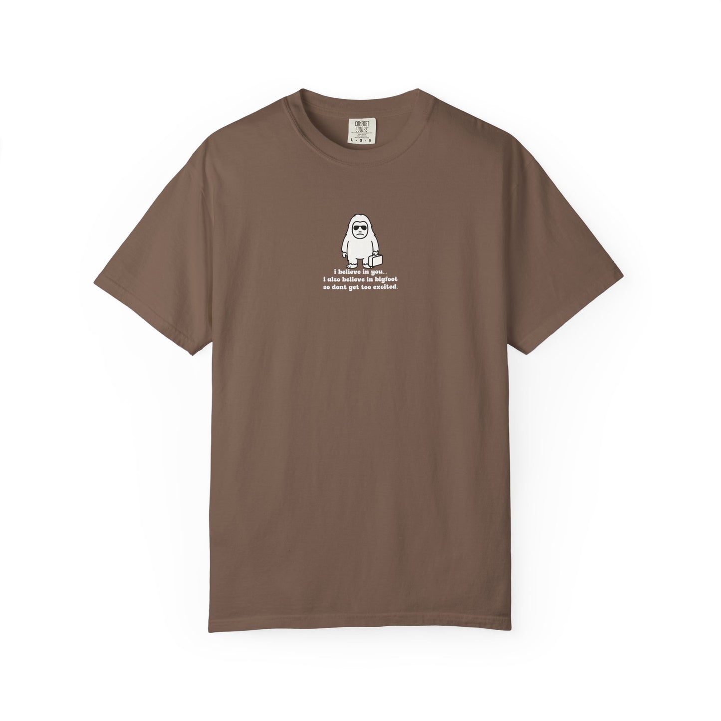 Big Beliefs, Low Expectations - Printed