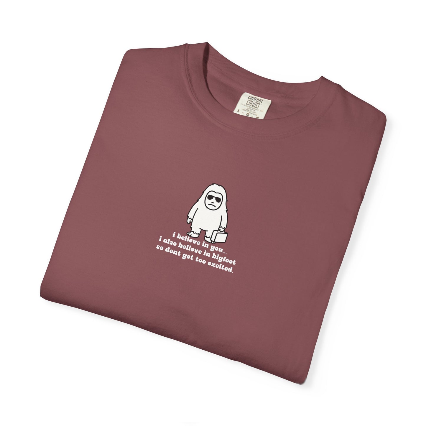 Big Beliefs, Low Expectations - Printed