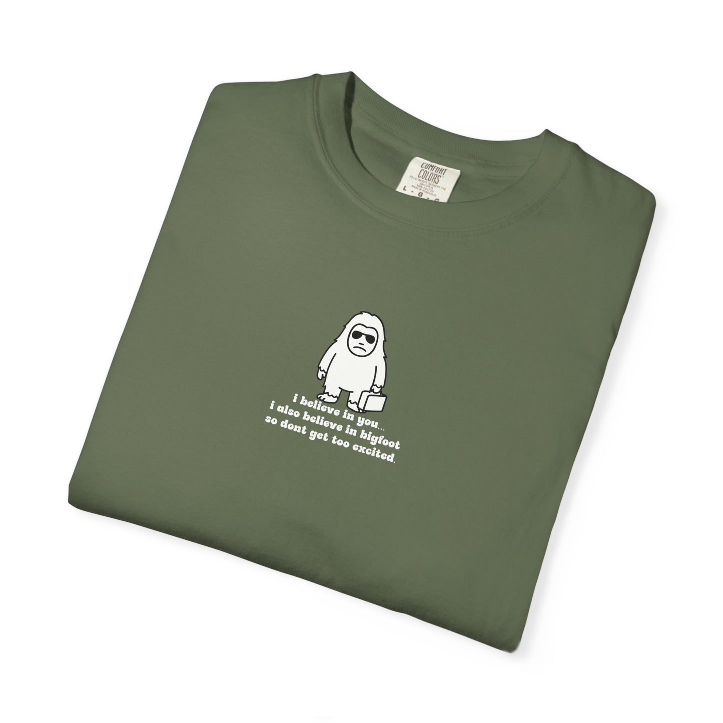 Big Beliefs, Low Expectations - Printed