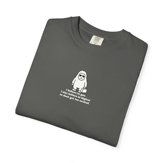 Big Beliefs, Low Expectations - Printed